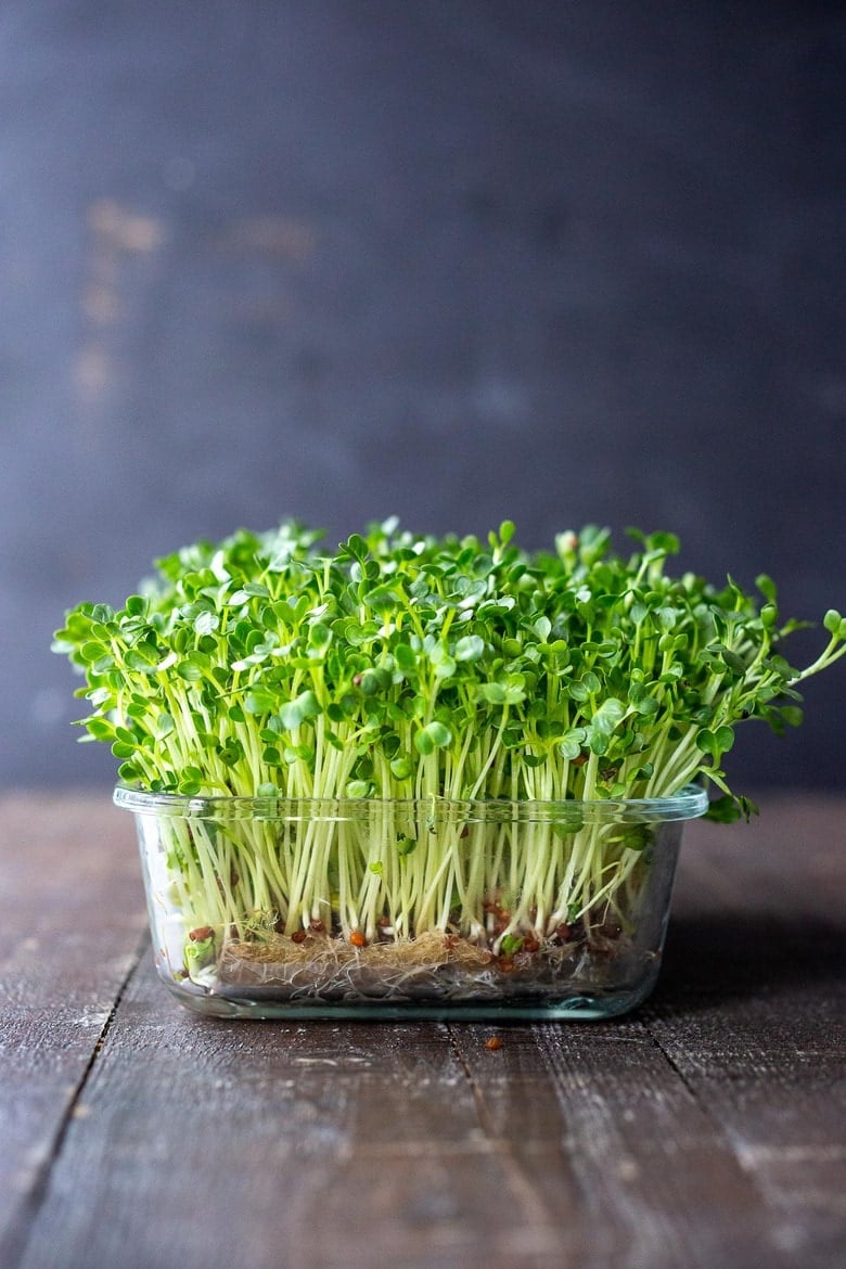 Fresh Cut Microgreens – Nutrient Pack (100g)