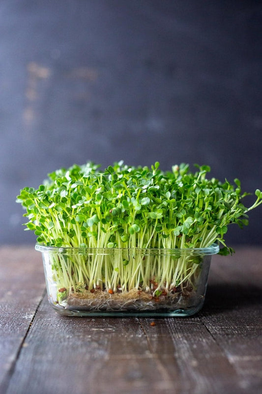 Fresh Cut Microgreens – Nutrient Pack (100g)